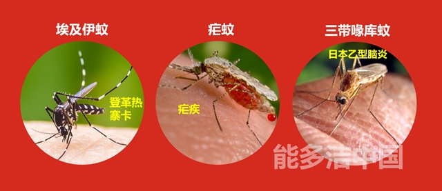 登革热是登革病毒经蚊媒传播引起的急性虫媒传染病。根据世界卫生组织和相关国家卫生部门通报，截至2019年6月15日，已有多国出现登革热疫情。能多洁中国提醒您务必做好防蚊措施。