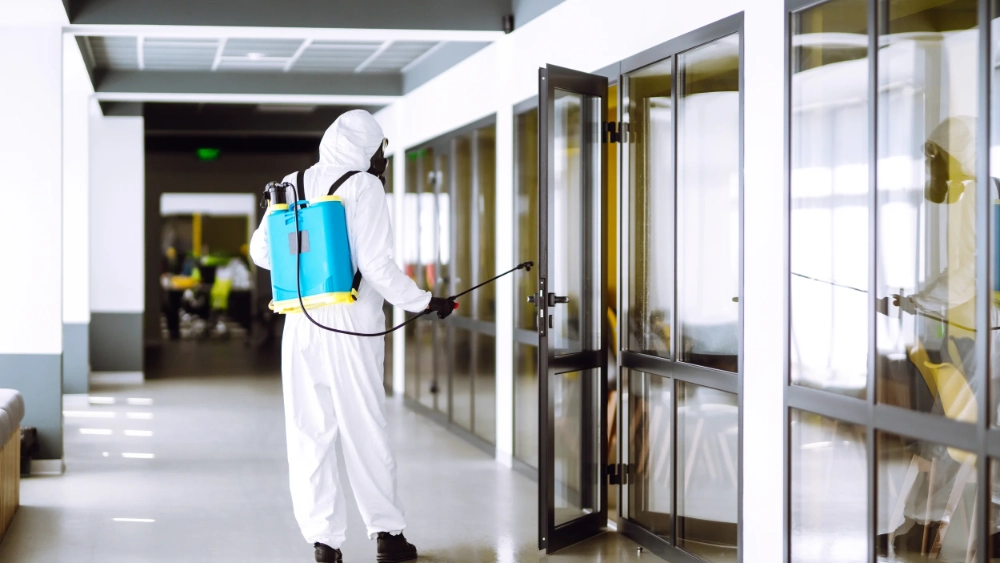 image-banner-stock-disinfection-of-office-to-prevent-covid-19-1219394285.webp