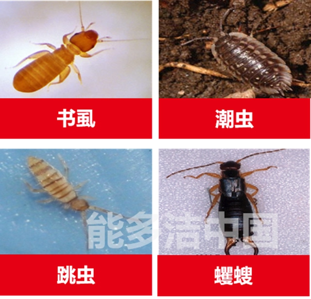 今夏，能多洁响应政府号召，配合上海市爱卫办、上海市疾控中心及上海市健康促进协会，进行了历时近1个月的居家灭蟑宣传社区行。在17个长宁区街道，轮番进行了灭蟑科普与培训，有条不紊的完成了此次公益社区行。