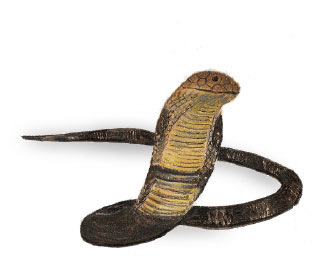 King Cobra