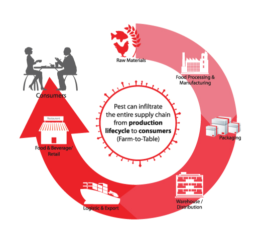 Diagram showing the parts of the supply chain that pest can infiltrate