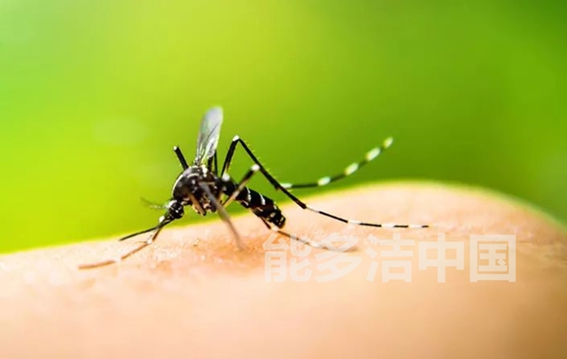 4月25日是世界疟疾日。时至今日，全球仍有近50%的人口面临疟疾威胁。今年，贝克汉姆也加入了“Malaria No More”活动。能多洁也一如既往地积极助力世界疟疾日，并在全球发起了一系列活动，呼吁社会各界共同努力，提升环境，降低密度，向疟疾说不！