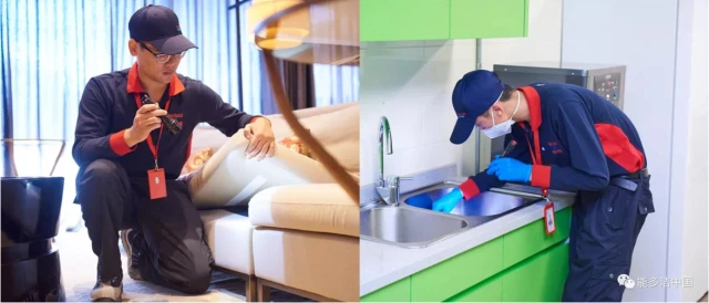 Split-screen image of a pest control technician inspecting a couch and a kitchen sink with a flashlight.